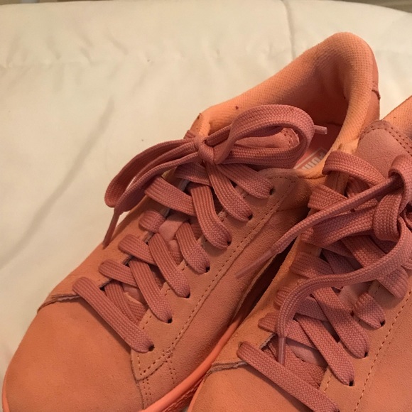 desert flower pumas - Picture 2 of 4